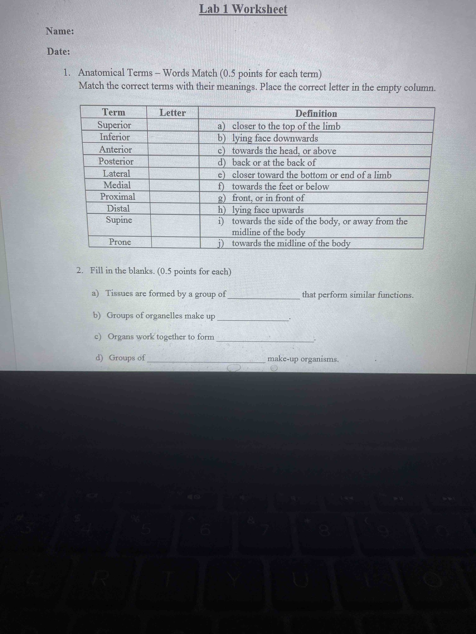 The image shows Lab 1 Worksheet containing two sections. Section 1: Anatomical Terms - Words Match requires matching terms like Superior, Inferior, Anterior, Posterior, Lateral, Medial, Proximal, Distal, Supine, and Prone to their correct definitions. Section 2: Fill in the blanks asks four questions regarding the levels of biological organization: a) Tissues are formed by a group of ____ that perform similar functions. b) Groups of organelles make up ____. c) Organs work together to form ____. d) Groups of ____ make-up organisms.
