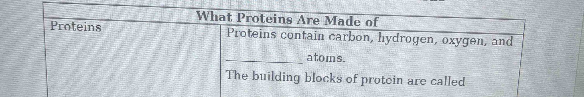 What Proteins Are Made of
Proteins contain carbon, hydrogen, oxygen, and __________ atoms.
The building blocks of protein are called