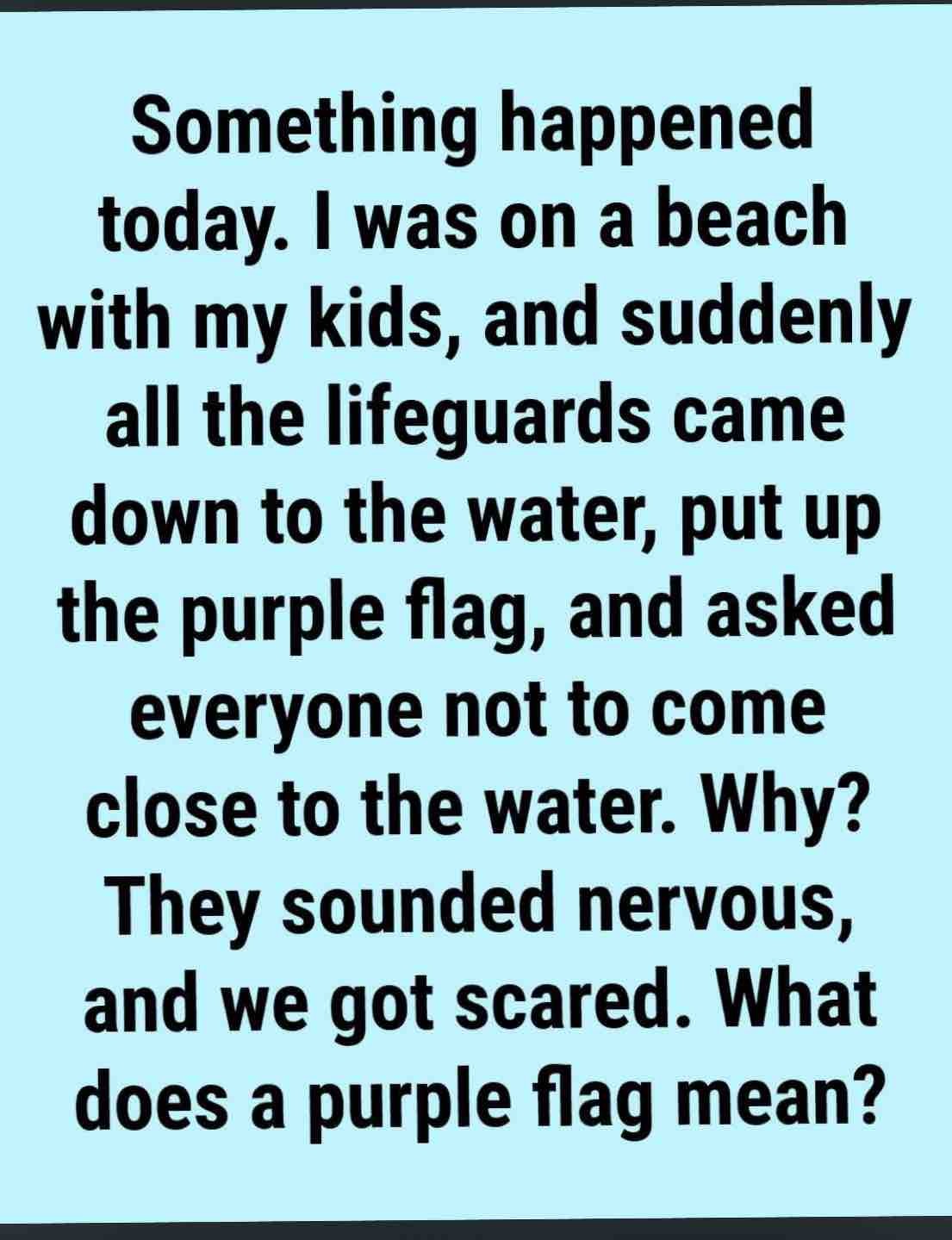 Something happened today. I was on a beach with my kids, and suddenly all the lifeguards came down to the water, put up the purple flag, and asked everyone not to come close to the water. Why? They sounded nervous, and we got scared. What does a purple flag mean?