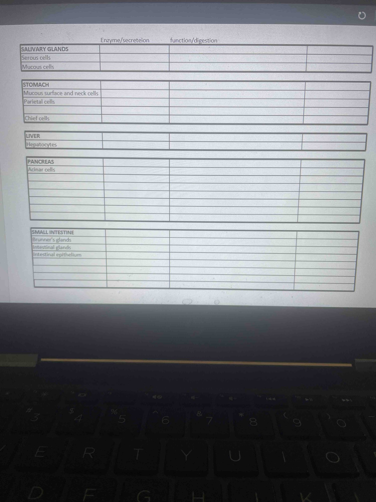 Fill in the table identifying the specific enzyme/secretion and its function/digestion role for each of the listed anatomical locations and cell types: Salivary Glands (serous cells, mucous cells), Stomach (mucous surface/neck cells, parietal cells, chief cells), Liver (hepatocytes), Pancreas (acinar cells), and Small Intestine (Brunner's glands, intestinal glands, intestinal epithelium).