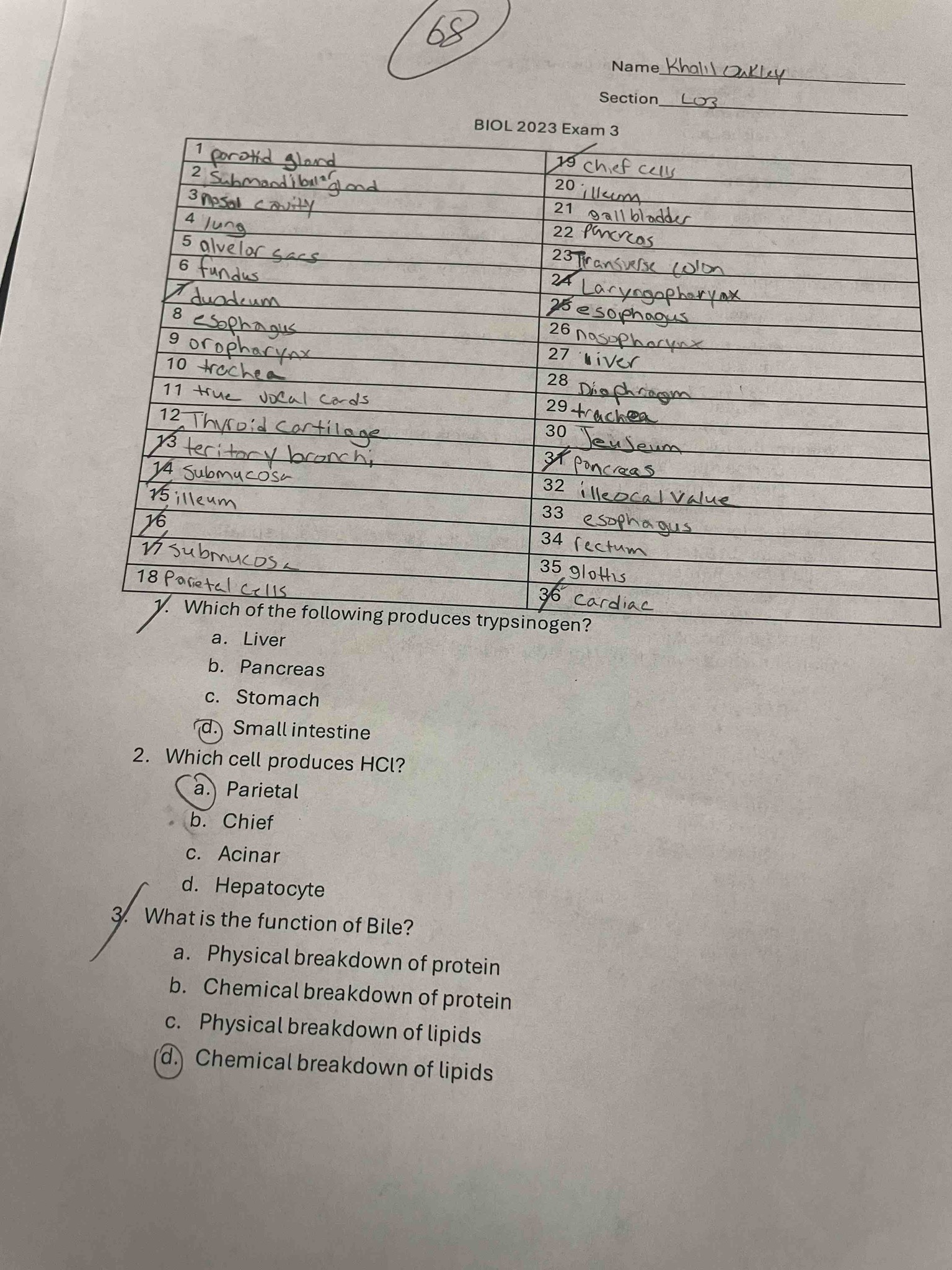 1. Which of the following produces trypsinogen? a. Liver, b. Pancreas, c. Stomach, d. Small intestine. 2. Which cell produces HCl? a. Parietal, b. Chief, c. Acinar, d. Hepatocyte. 3. What is the function of Bile? a. Physical breakdown of protein, b. Chemical breakdown of protein, c. Physical breakdown of lipids, d. Chemical breakdown of lipids.